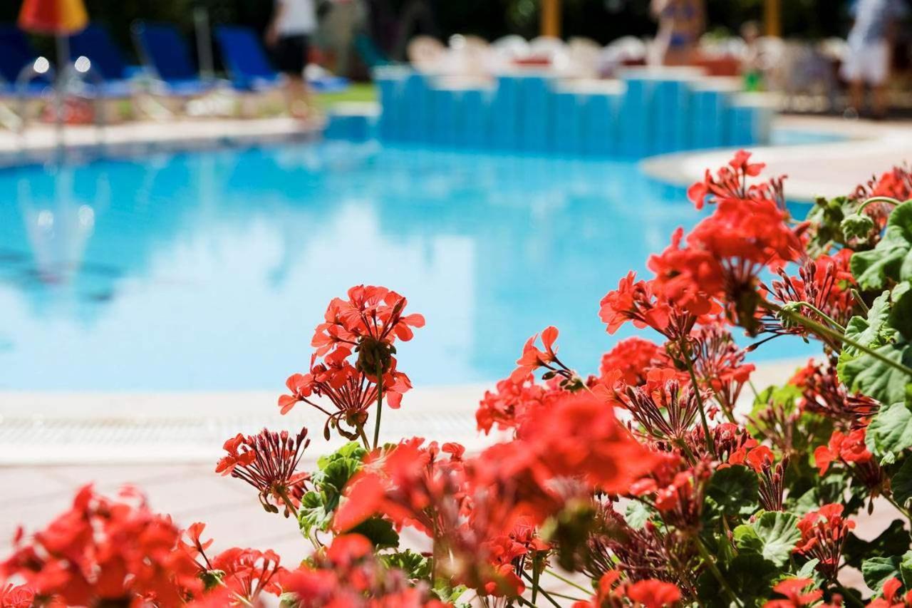 Begonville Apart Hotel Сиде Экстерьер фото